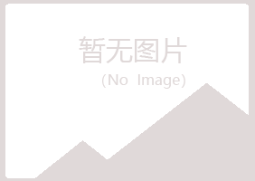 东源县字迹能源有限公司